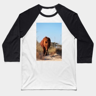 Assateague Beach Ponies - Series - 06 Baseball T-Shirt